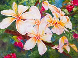 Plumeria