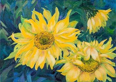 sunflowers